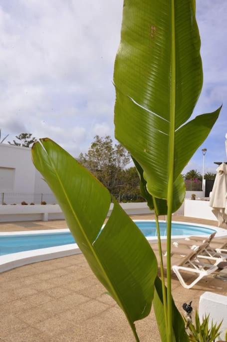 Apartamento Lapa Tías Buitenkant foto